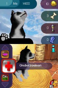 Best Friends - Mijn Honden en Katten