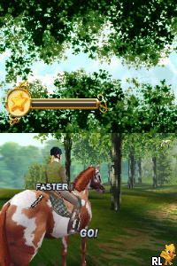 Horse Life