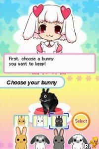 Petz - Bunnyz