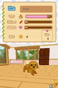 Petz - Dogz Fashion