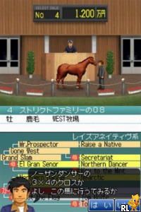 Derby Stallion DS