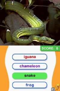 Animal Genius