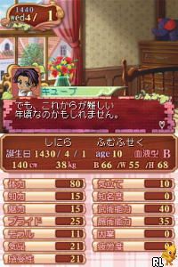Princess Maker 4 - Special Edition