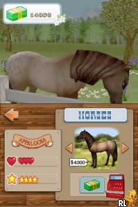 Championship Pony