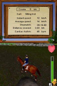 Equestrian Training