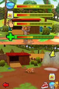 Petz Rescue - Wildlife Vet