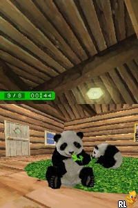 National Geographic - Panda