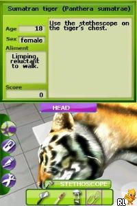 Zoo Vet - Endangered Animals