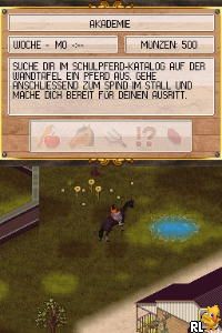 Pferd & Pony - Die Reitakademie
