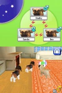 Conveni DS, The - Otona no Keieiryoku Training