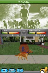 My Dog Coach - Understand Your Dog with Cesar Millan