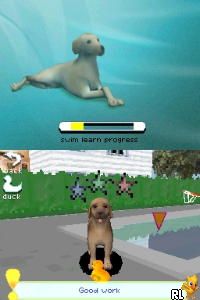 My Pet Puppy