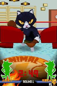 Animal Boxing