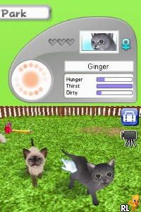 Petz - Catz Clan