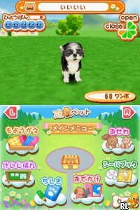 Machi no Pet-ya-san DS 2 - Wannyan 333-hiki Daishuugou!