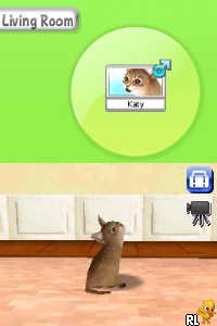 Petz - My Kitten Family