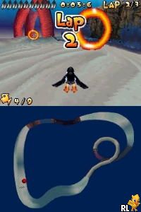 Puffins - Island Adventure