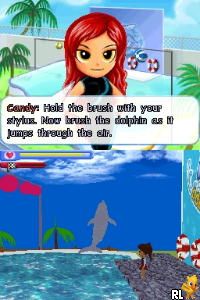 Dolphin Trainer
