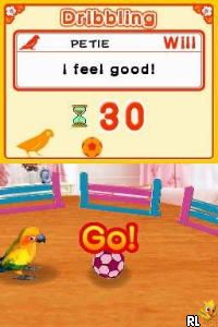Discovery Kids - Parrot Pals
