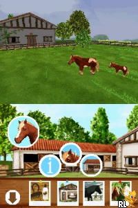 Discovery Kids - Pony Paradise