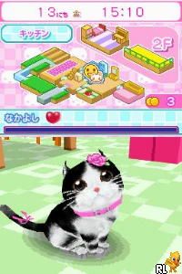 Kawaii Koneko DS 2