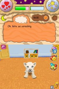 Baby Wild Katzen