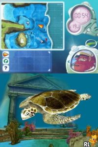 Dolphin Island - Underwater Adventures
