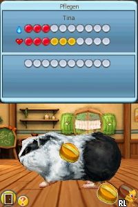 Meine Tierpension - Tapsige Tierbabys