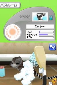 Petz - Monkeyz - Osaru to Issho ni Tanoshiku Asobou