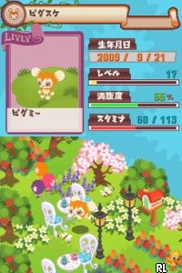 Livly Garden
