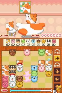 Animal Kororo