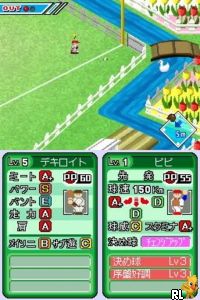 Pro Yakyuu Famista DS 2010