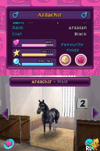 Horse Life 3