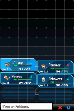 Pokemon - Edicion Negra