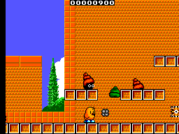 New Zealand Story, The