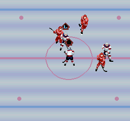 Pro Sport Hockey