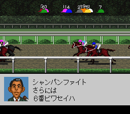 Derby Stallion '98