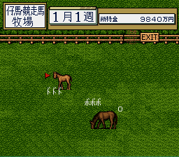 Thoroughbred Breeder