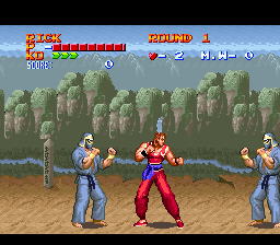 Ultimate Fighter