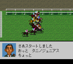 Derby Stallion '96