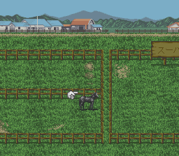 Super Keiba 2
