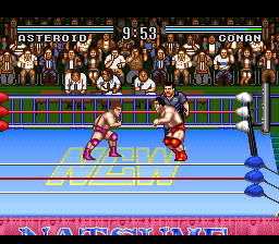 Natsume Championship Wrestling