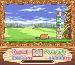 Araiguma Rascal