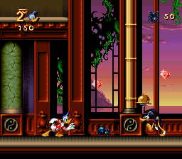 Maui Mallard in Cold Shadow