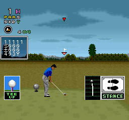 Serizawa Nobuo no Birdie Try