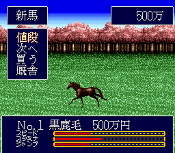 Jumpin' Derby