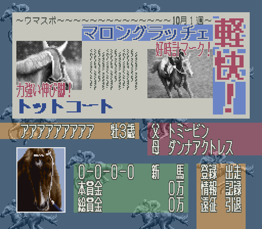 Leading Jockey