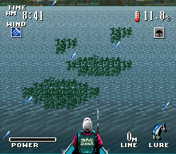 Larry Nixon's Super Bass Fishing