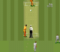 Super International Cricket