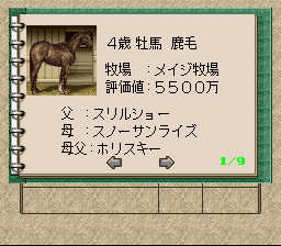 Winning Post 2